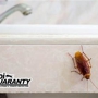 Dandi Guaranty Pest Solutions & Termite Protection