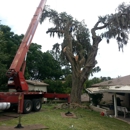 Odom's Beaches Tree Service - Landscape Contractors