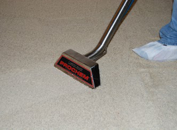 Carpet Wiser Carpet Cleaning - Elgin, IL