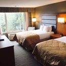 Wyndham Garden Greensboro - Hotels