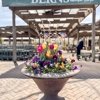 Berns Garden Center gallery