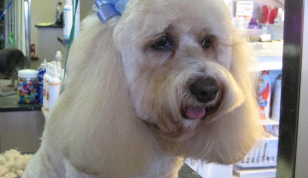 Clipper Ship Pet Grooming - Lake Mary, FL