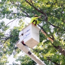 RTEC Treecare - Tree Service