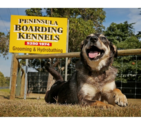 Peninsula Boarding Kennels - Moolap, VIC