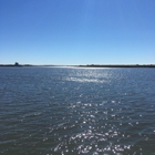 Calcasieu Point Landing