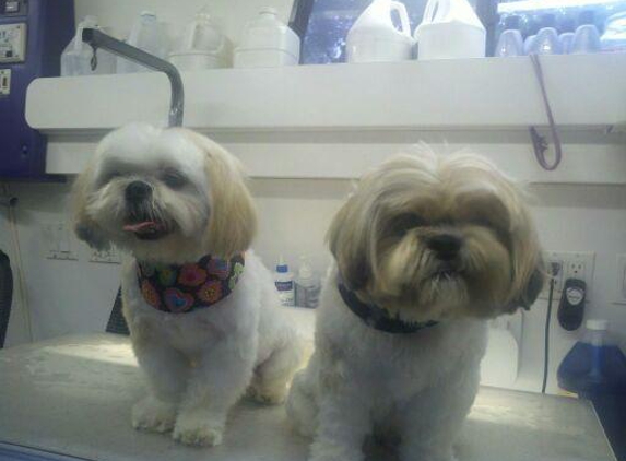 Hollywood Grooming - Los Angeles, CA