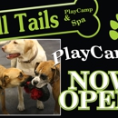 All Tails R Waggin' - Pet Boarding & Kennels