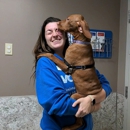 VCA Smoketown Animal Hospital - Veterinarians