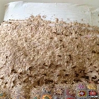 Complete Pest Control Services
