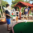 Old Pro Golf - Miniature Golf