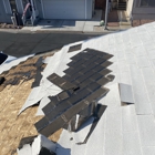 Water Damage Professionals
