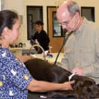 Newport Harbor Animal Hospital