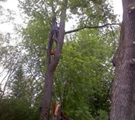 JR's Tree Service, LLC - Mount Morris, MI