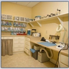 Dr. Amy Loden, DDS