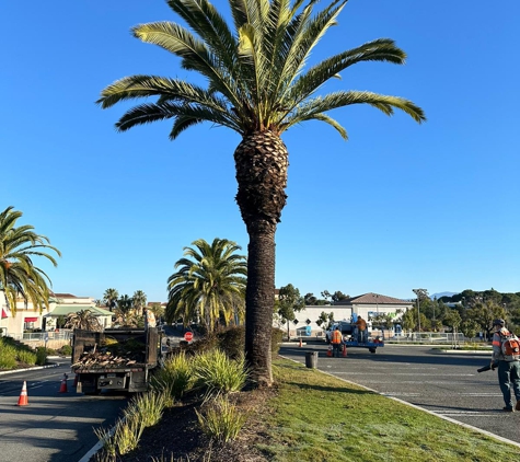 SouthWest Environments Landscape Services - Chula Vista, CA