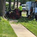 Brennan Tree Service - Tree Service