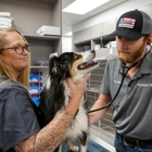 Livewell Animal Hospital of Little Elm