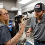 Livewell Animal Hospital of Little Elm