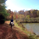 Sassy Stables - Horse Training