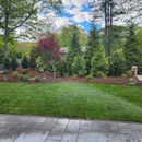 Angel Molina Landscaping - Landscape Designers & Consultants