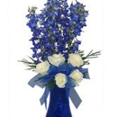 Fox's Floral & Gifts - Florists