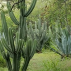 Makaha Valley Towers