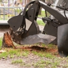 Bauer's Tree & Stump Removal gallery