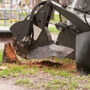 Bauer's Tree & Stump Removal - Tree Service