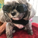 Palms West Veterinary Hospital - General Practice Urgent Care - Veterinarians