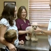 Garden Grove Animal Hospital gallery