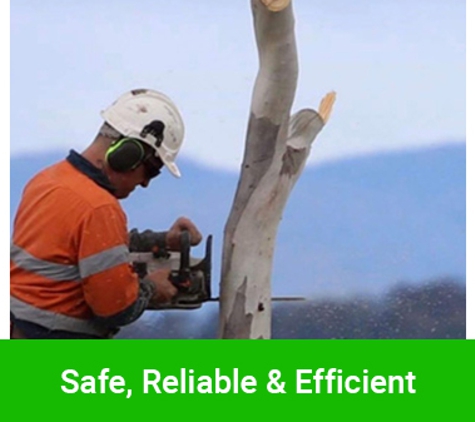 Horizon Tree Service - Brighton, TAS. Safe, Reliable & Efficient