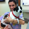 Lake Ray Hubbard Emergency Pet Care Center gallery
