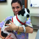 Lake Ray Hubbard Emergency Pet Care Center - Pet Services
