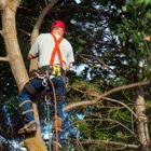 J & B Tree Service