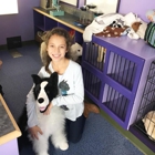 Taylor Animal Hospital of Parkville