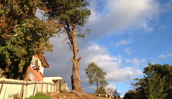 Adams Tree Services - St Leonards, TAS