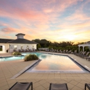 Shadetree Apartments - Apartments