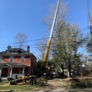 Holbert's Tree Service - Crane Service