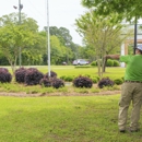 T Lake Environmental - Landscape Designers & Consultants