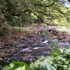 Lili'uokalani Botanical Garden