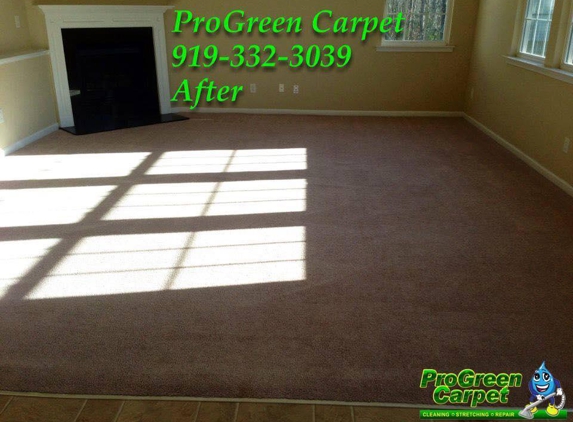 ProGreen Carpet - Halifax, VA