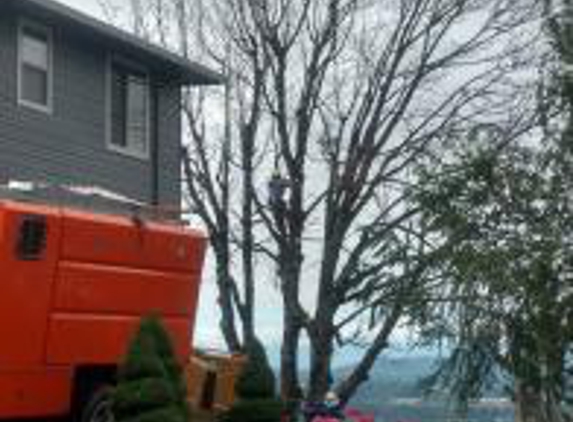 Arbor City Tree Care - Vancouver, WA