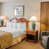 Quality Inn & Suites gallery