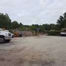 Nadeau Tree Service - Tree Service