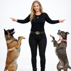 Naples Dog Academy