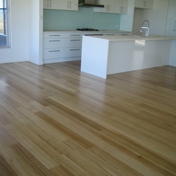 Gallery Image Number 4