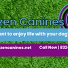 Citizen Canines gallery