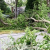 Kelley’s Southern Land Clearing gallery