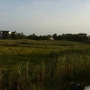 Bayshore Waterfront Park