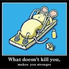 LA Fitness